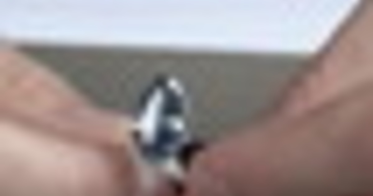 Un raro diamante blu da 9,5 carati all'asta da Christie's a Ginevra