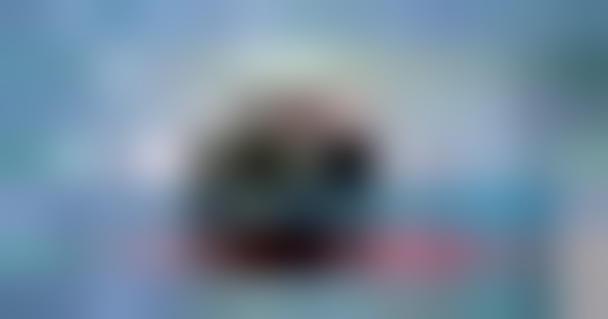 Mattarella: Onu può garante pace solo se Stati membri glielo consentono