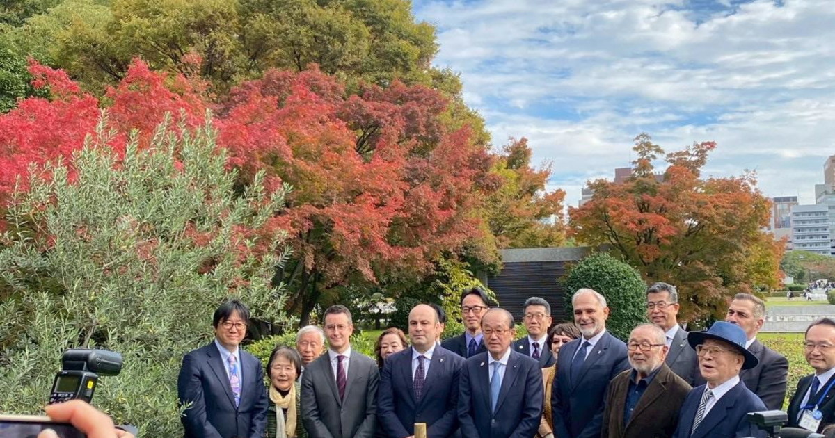Ottant'anni dalla bomba, l'Olivo della Pace dall'Italia a Hiroshima