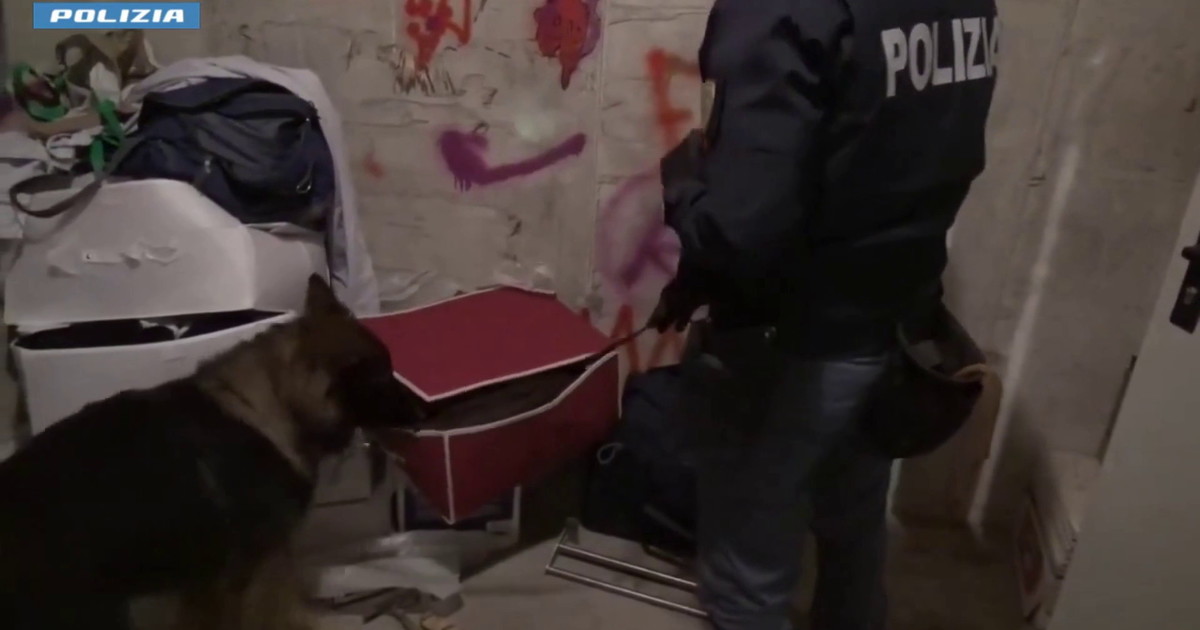 Sgominata una banda a Trento, 23 misure cautelari per furti e spaccio di droga