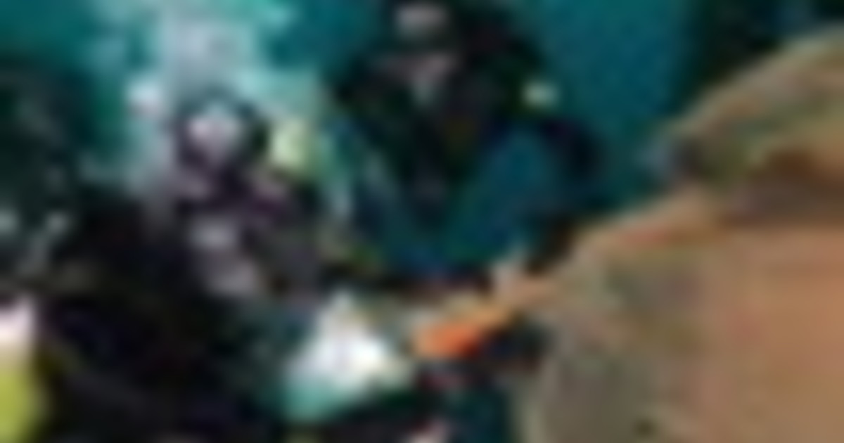 Genova, rimossa dai fondali una maxi rete fantasma di oltre una tonnellata