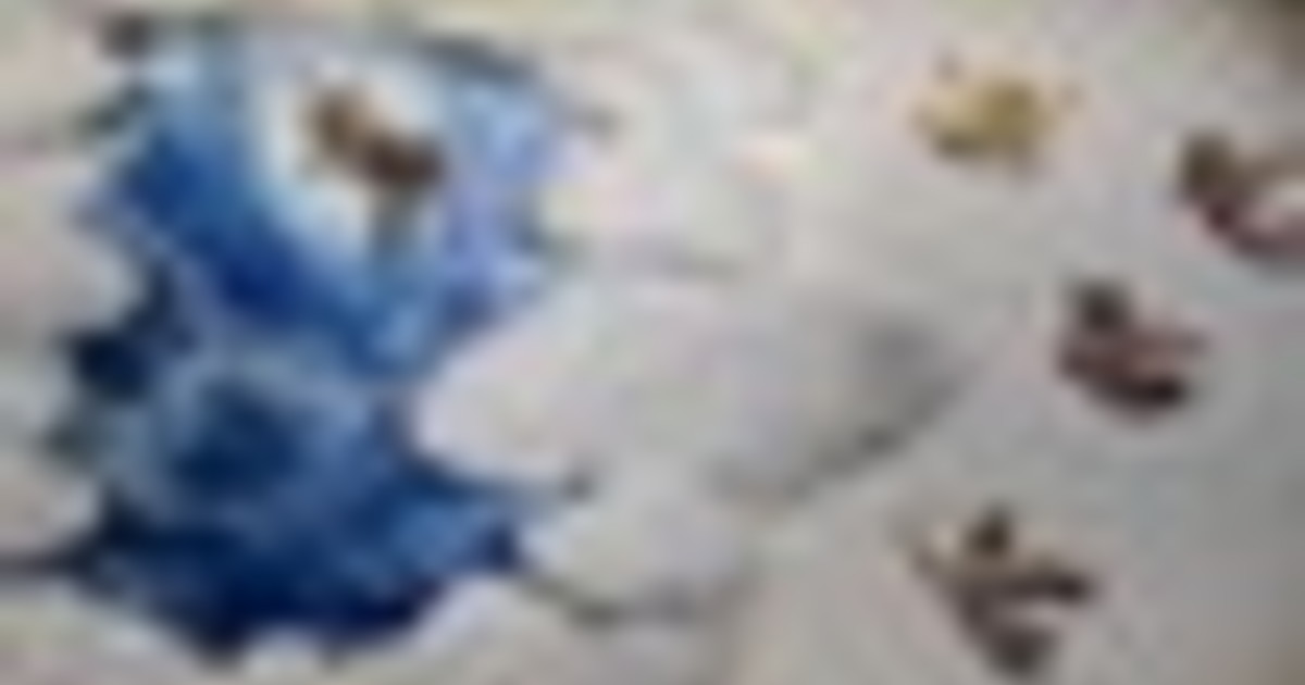 La spiritualità come atto rivoluzionario: la performance di Raffaele Curi sbarca nella capitale