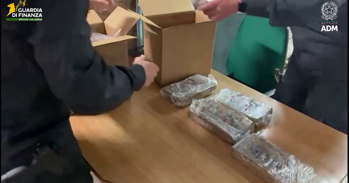 Al porto di Gioia Tauro sequestrati oltre 175kg di cocaina