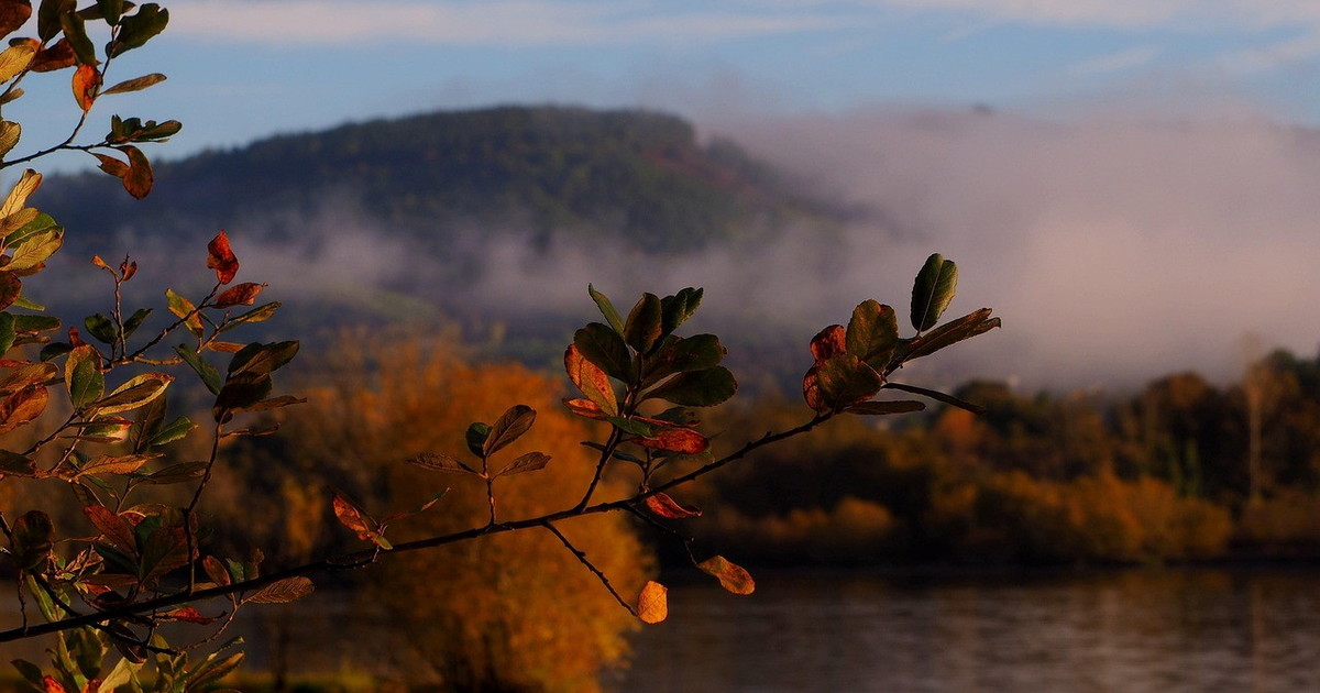 sei gradi sopra le medie l estate di san martino torna a colpire sole e caldo fuori stagione