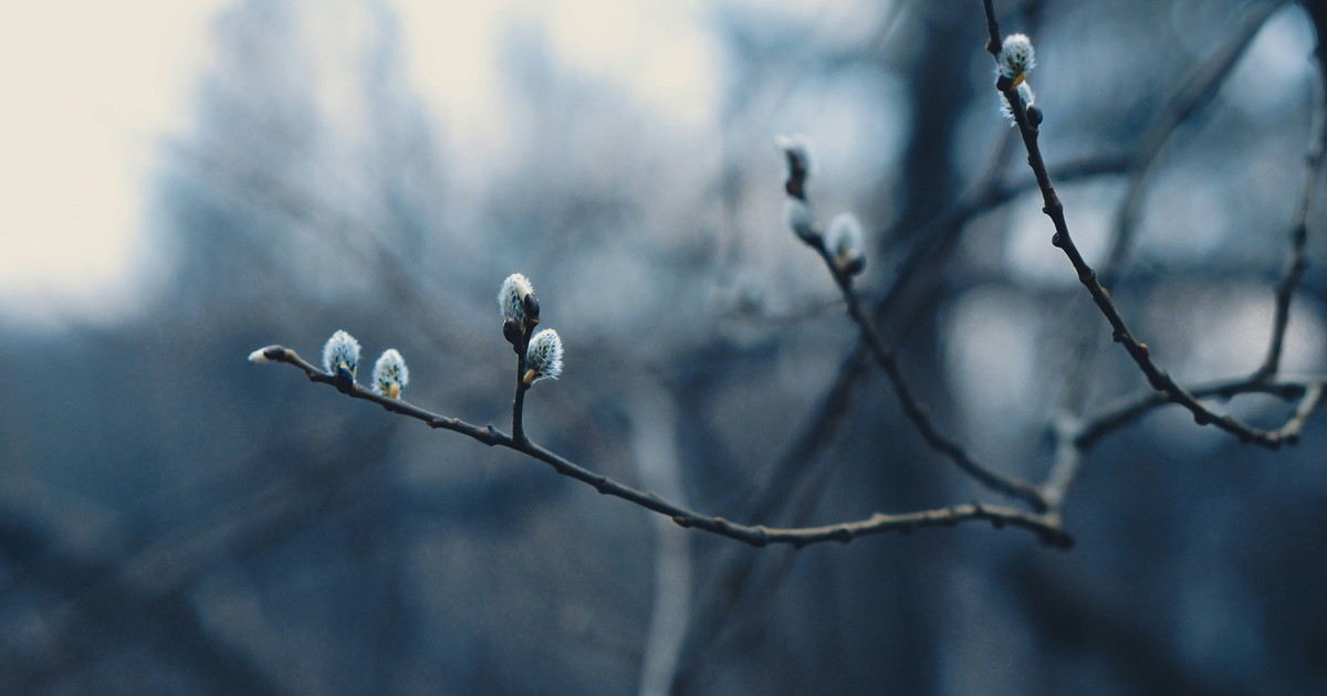 Giuliacci warns: What a fall. This is the date the thermal collapse occurred