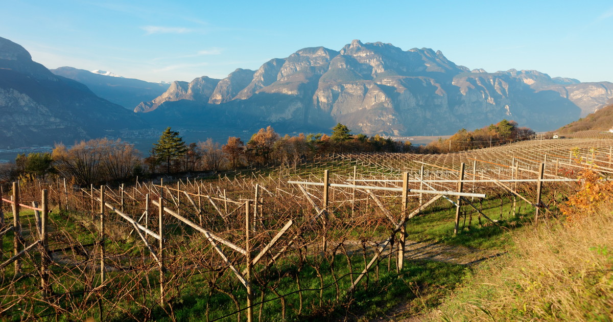 Trentodoc, la firma del Trentino nel mondo delle grandi bollicine Trentodoc, la firma del Trentino nel mondo delle grandi bollicine