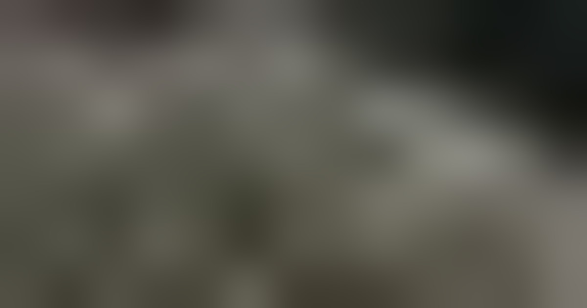 Dove si tenne Primo Concilio di Nicea, il Papa parlerà ai cristiani