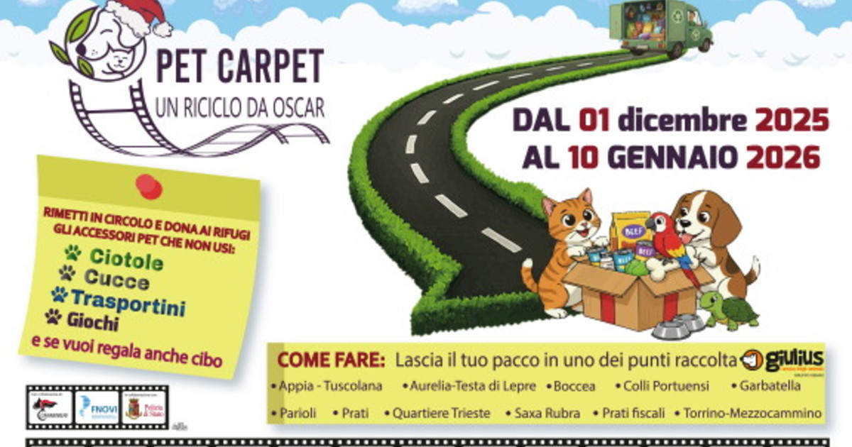 sostenibilit224 a 4 zampe con la campagna pet carpet un riciclo da oscar