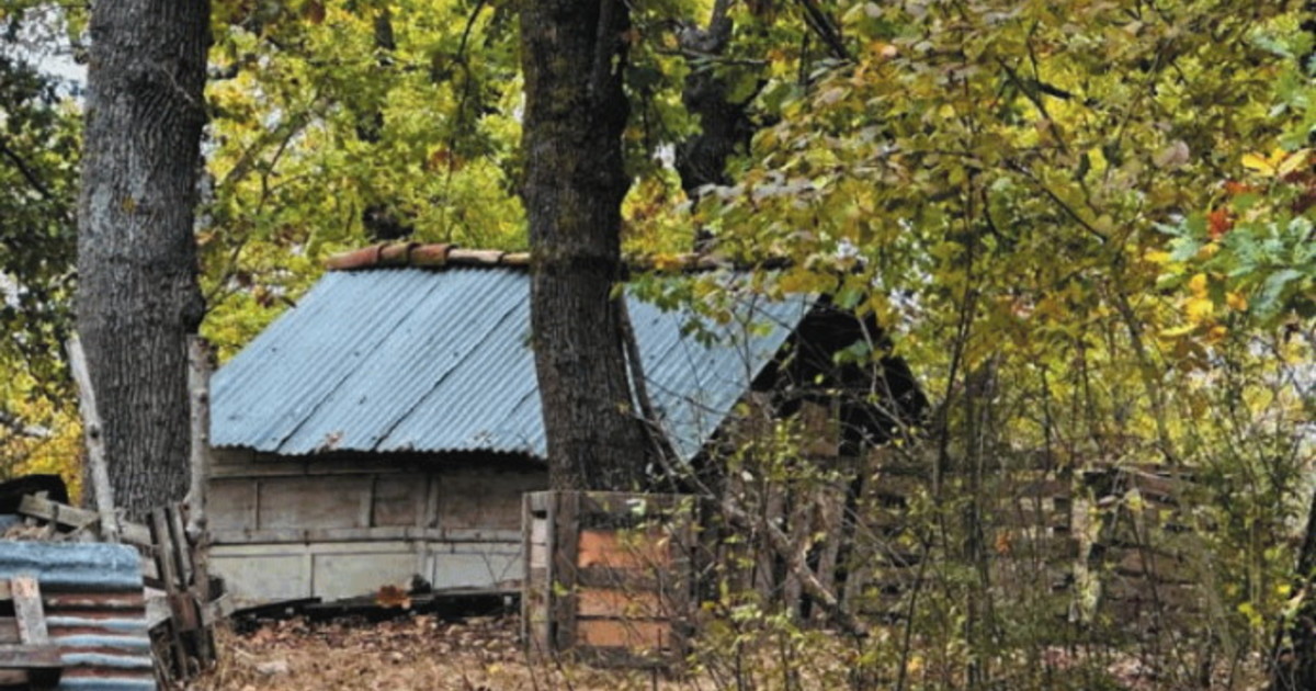 Bambini tolti alla famiglia nel bosco, i burocrati aprano gli occhi sulla sostanza