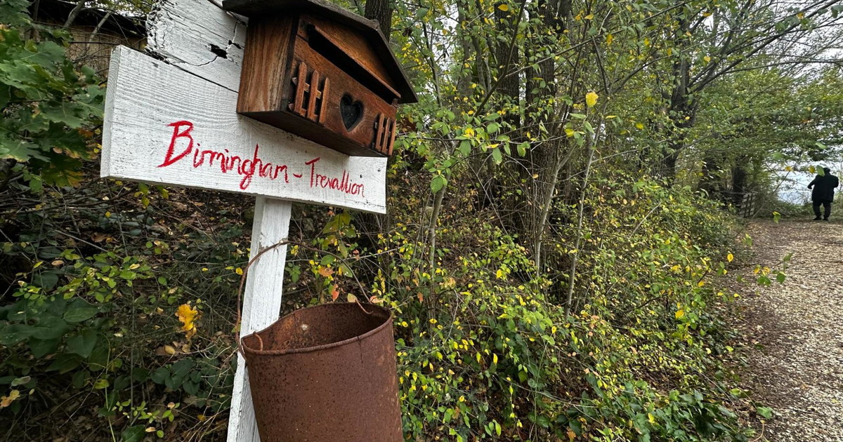 Family in the woods, the real problem is not the school: what is written in the documents