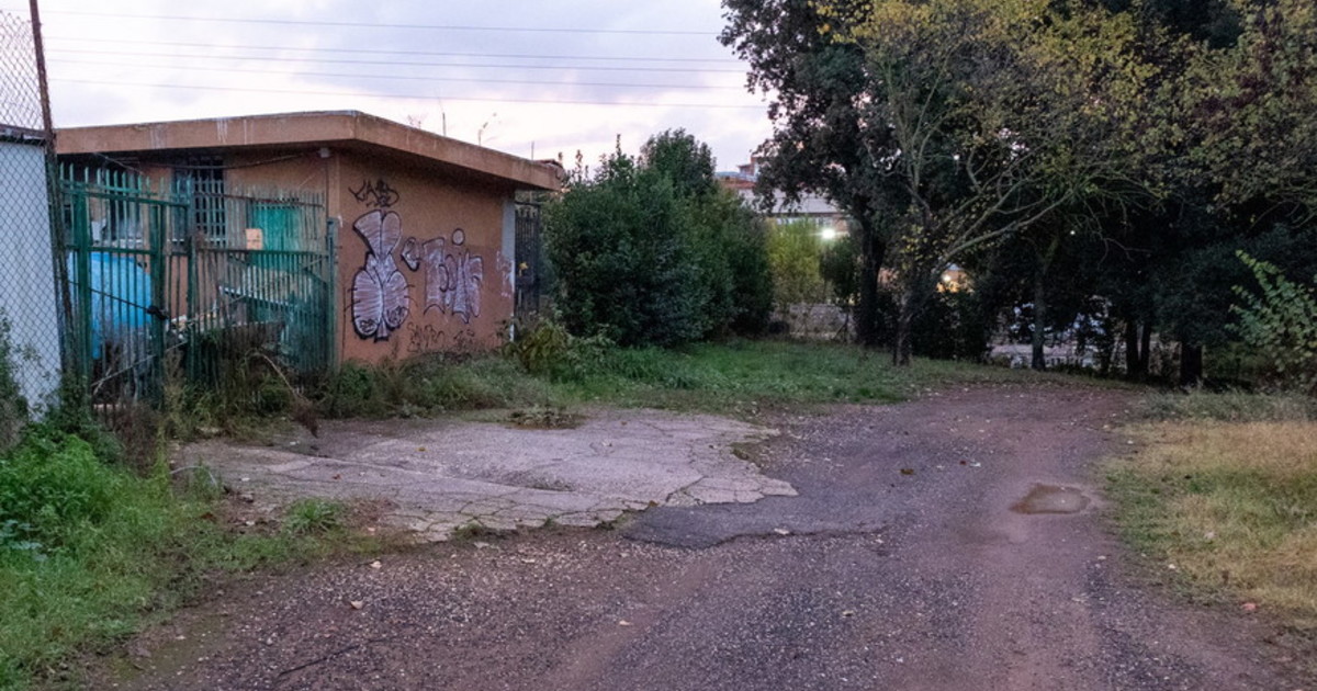 Tor Tre Treste, caccia al violentatore. L Tor Tre Treste, caccia al violentatore. L