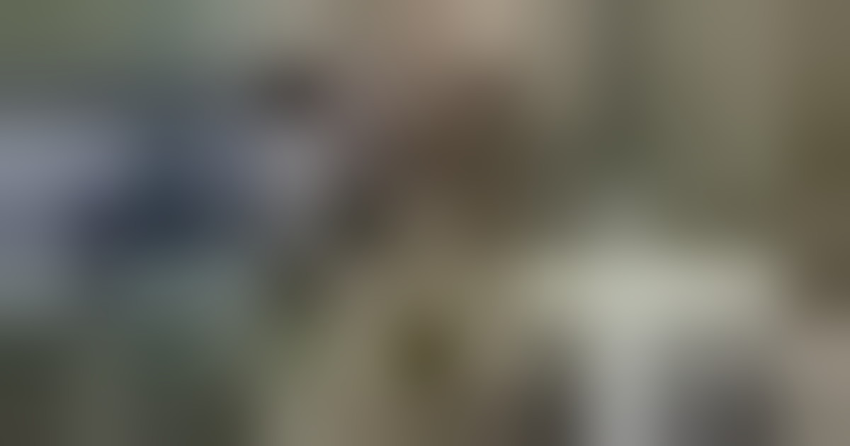 Il Papa: viaggio nel segno dell'unità, speriamo di annunciare pace