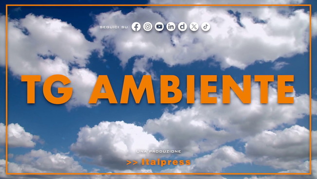Tg Ambiente - 30/11/2025