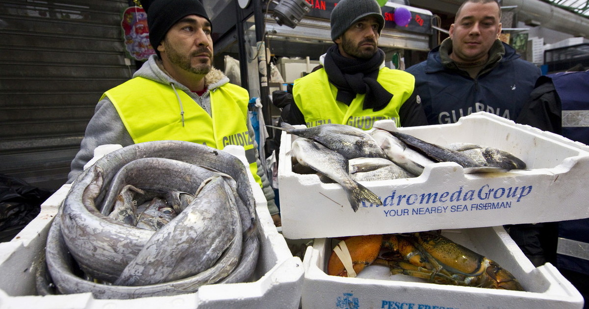 Viaggio tra degrado e desolazione nel grande mercato all