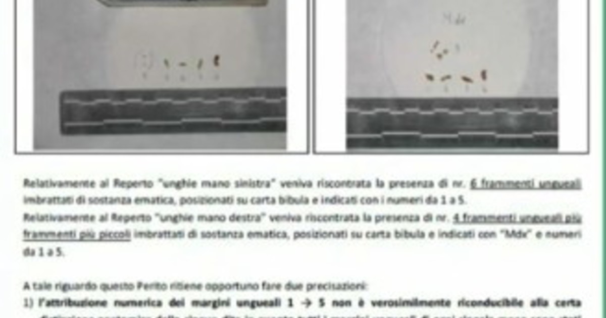 il dna di sempio per il genetista dei poggi non 232 una prova da Iltempo.it il dna di sempio per il genetista dei poggi non 232 una prova