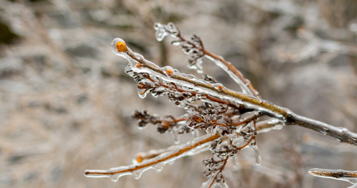 Tra Immacolata e Natale le previsioni di Giuliacci: i giorni del ciclone atlantico Tra Immacolata e Natale le previsioni di Giuliacci: i giorni del ciclone atlantico