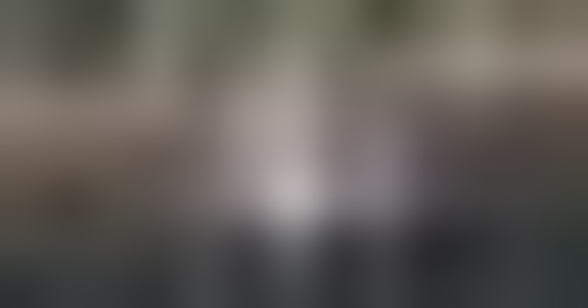 Zelensky a Castel Gandolfo incontra Papa Leone XIV