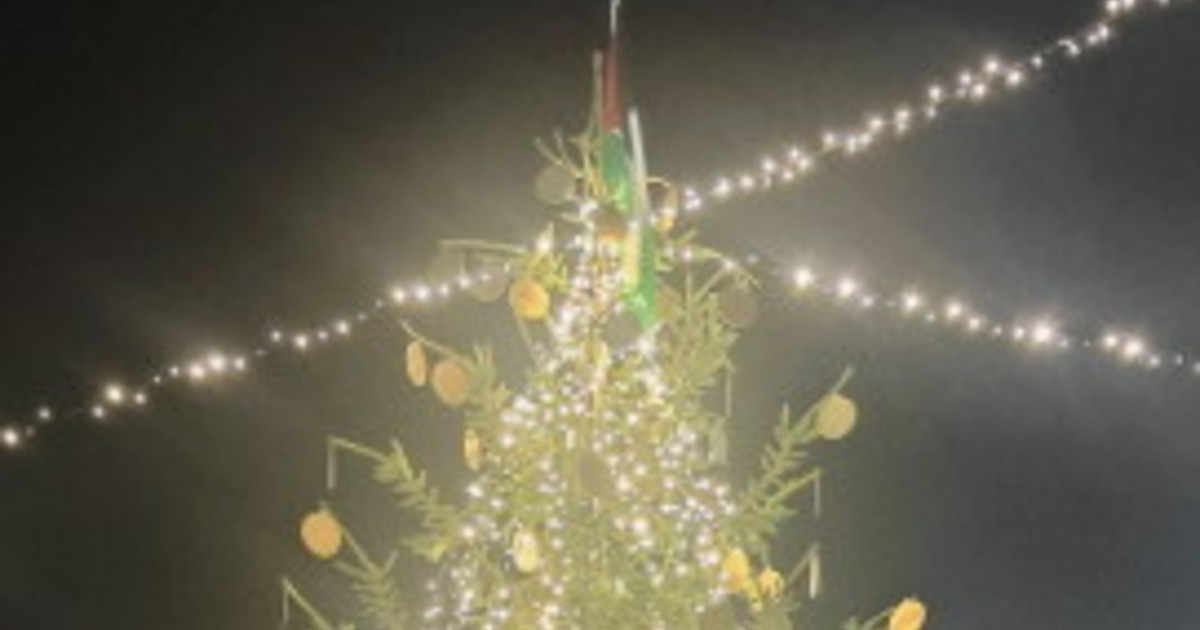 Ci mancava l'albero ProPal, bufera sul comune fiorentino (che ha premiato la Albanese...)