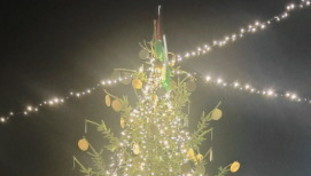 Ci mancava l'albero ProPal, bufera sul comune fiorentino (che ha premiato la Albanese...)