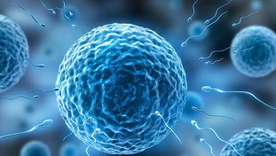 Choc in Danimarca: donatore anonimo trasmette gene legato al cancro a centinaia di bambini