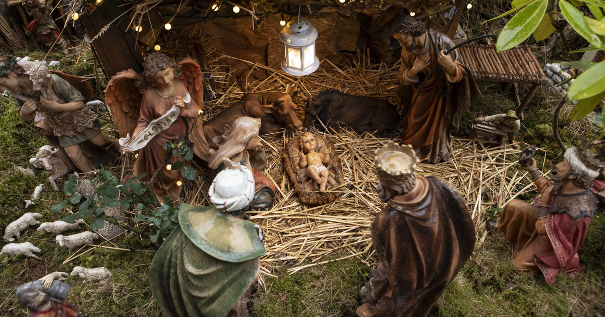 Camera, esplode il giallo del presepe: Re Magi in anticipo e bue e asinello assenti Camera, esplode il giallo del presepe: Re Magi in anticipo e bue e asinello assenti
