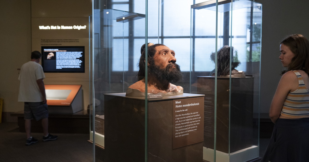 Pirite, focolari e Neanderthal: l Pirite, focolari e Neanderthal: l