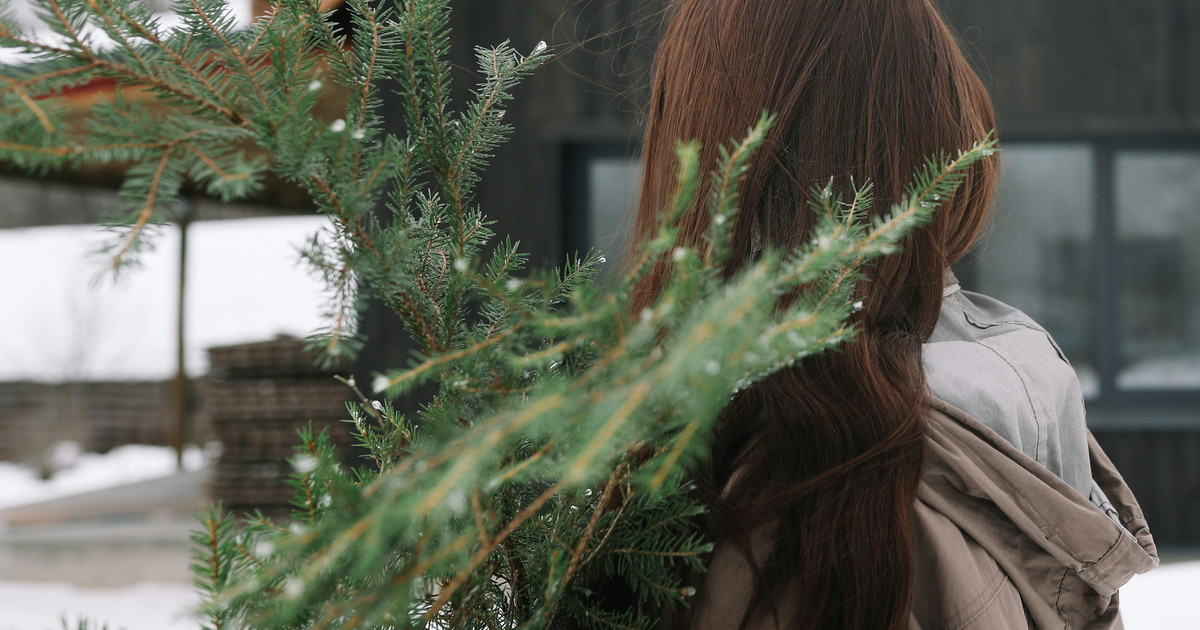 Le previsioni di Giuliacci per Natale: Freddo in due fasi. I giorni gelidi