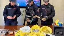 Ostia: sequestrato il carico di droga per le feste. Nove arresti e sedici denunce