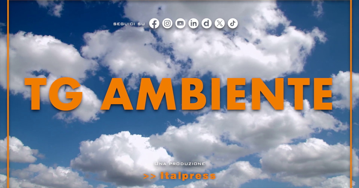 Tg Ambiente - 14/12/2025