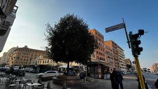 Il papocchio della toponomastica: Piazza dell'Alberone divisa in due quartieri