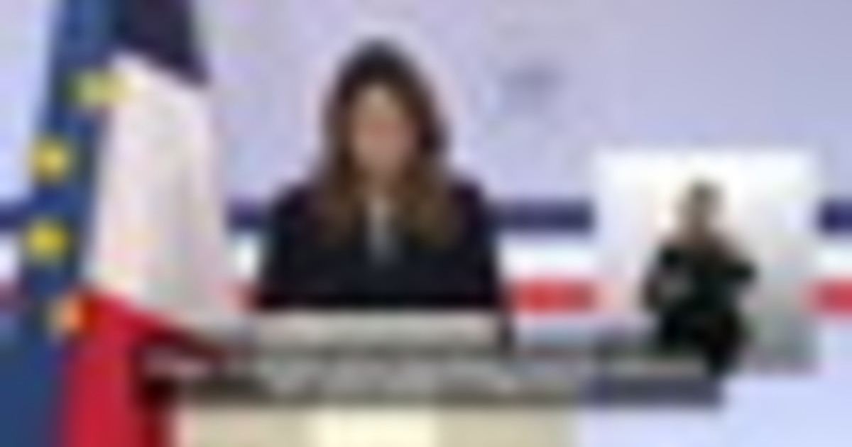 Parigi: "La Francia si opporrà se si tenterà di forzare sul Mercosur"