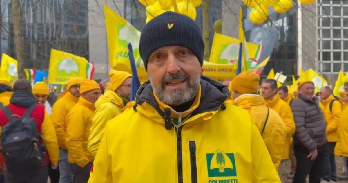 masiello l agricoltura e la tabacchicoltura europea unite contro politiche squilibrate da Iltempo.it masiello l agricoltura e la tabacchicoltura europea unite contro politiche squilibrate