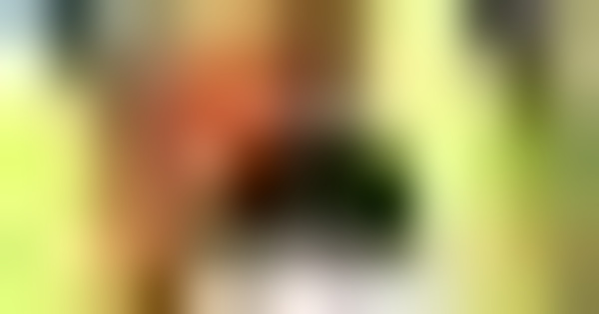 Zelensky: Usa hanno proposto colloquio con Ucraina e Russia a Miami