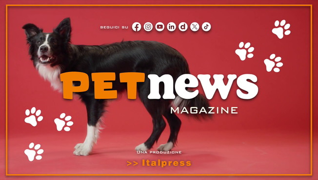PetNews Magazine - 22/12/2025