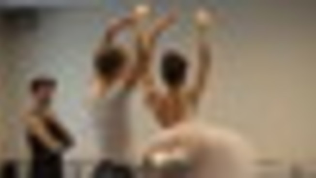 'Il sogno bianco', dietro le quinte de 'Il lago dei cigni' alla Scala