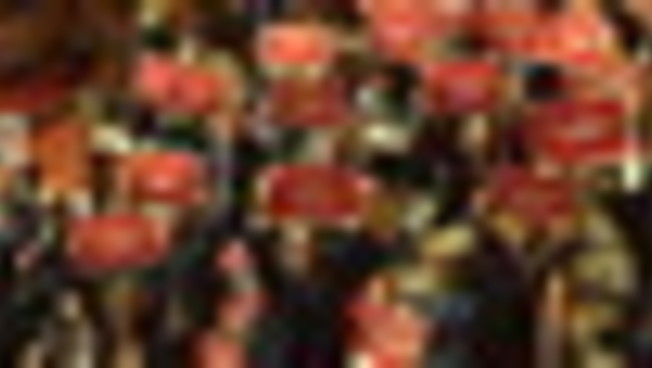 Ok del Senato su maxiemendamento manovra,protesta opposizioni in aula