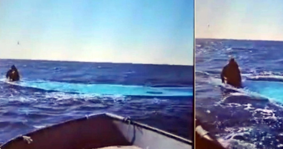 a natale aprite le frontiere le ong cavalcano l ennesima strage di migranti da Iltempo.it a natale aprite le frontiere le ong cavalcano l ennesima strage di migranti