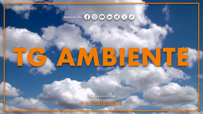 Tg Ambiente - 28/12/2025