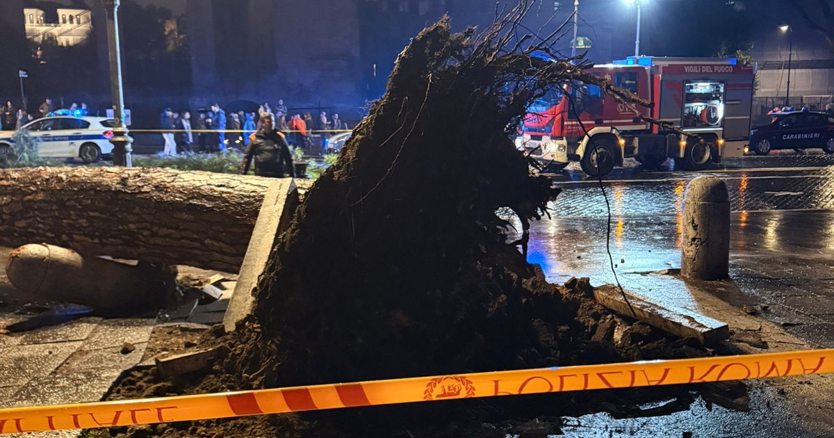Dopo il crollo del pino chiusa via dei Fori Imperiali fino al 23 del 6 gennaio