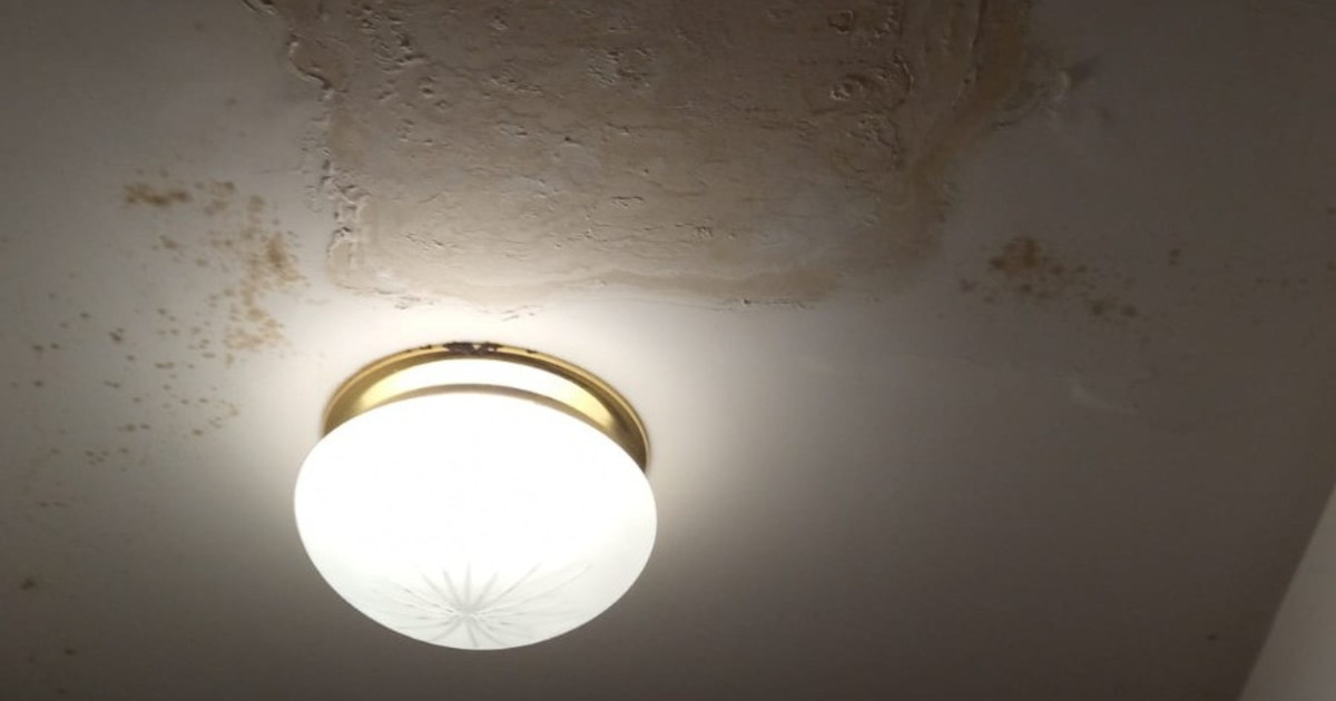 Piove dentro casa e nessuno risponde: nelle case popolari cresce la rabbia contro l