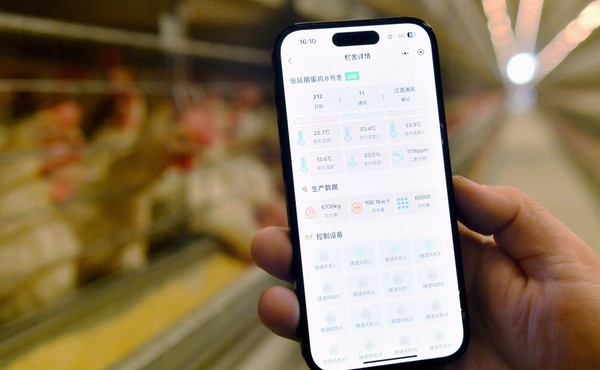 La Cina crea un sistema di registrazione per i diritti di proprietà dei dati