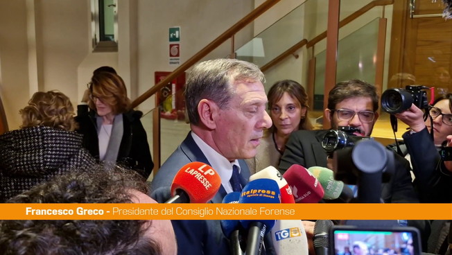 Greco 'Riforma della giustizia porterà a un processo più giusto'