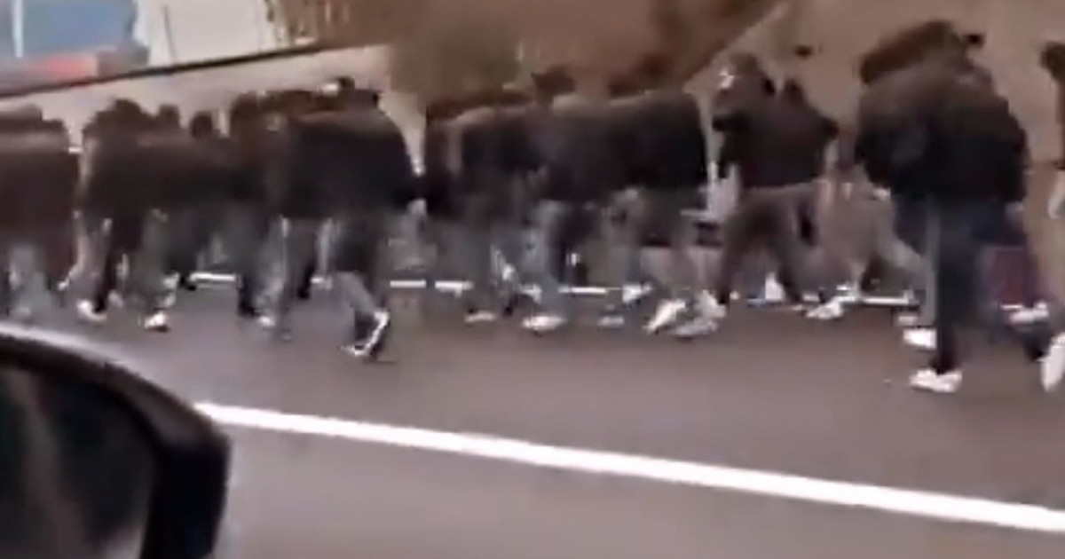 Bologna: scontri in autostrada tra 200 ultras di Fiorentina e Roma, auto danneggiate