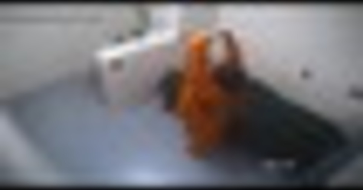 Epstein, atteso interrogatorio Commissione inchiesta Usa per Maxwell