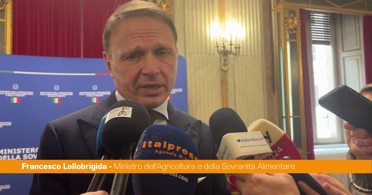 Agroalimentare, Lollobrigida "Cabina di regia sui controlli esempio per l'Ue"