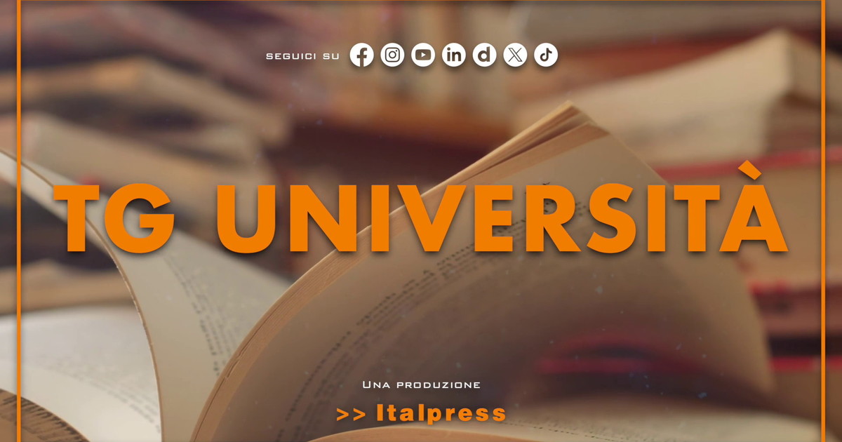 Tg Università - 10/2/2026
