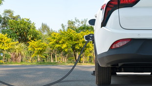 Il diktat dell'assessore sulle auto elettriche getta la città nel caos