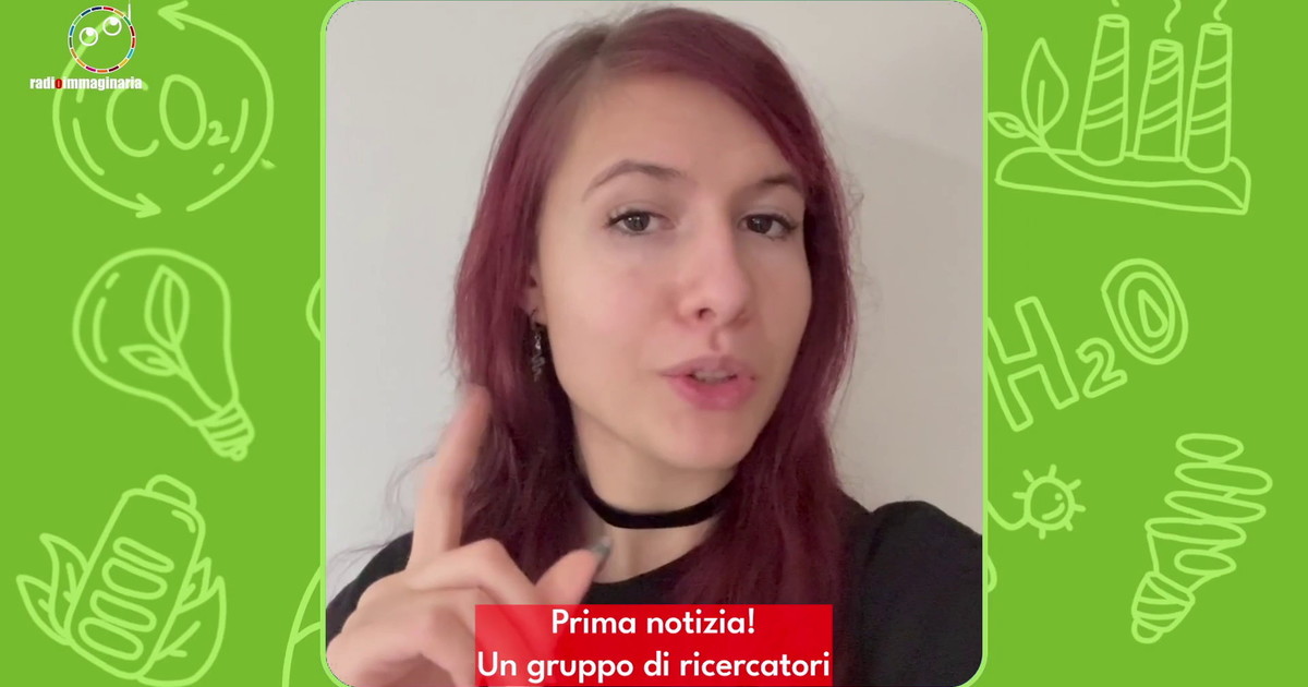 Scoperta una medusa grande quanto un autobus