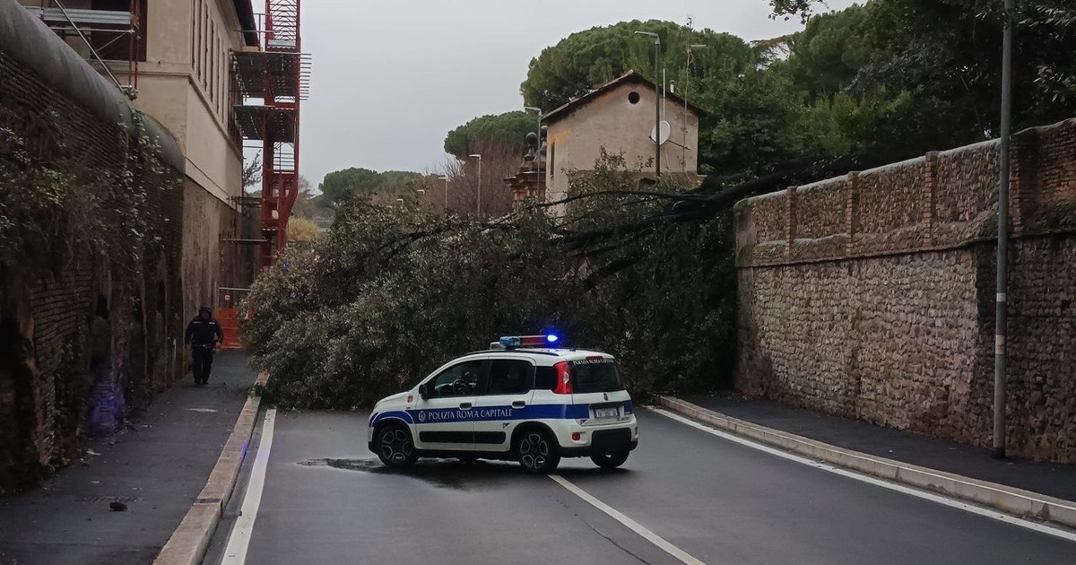 Maltempo, a Montesacro crolla un muro. Allagamenti a Ostia e Fiumicino Maltempo, a Montesacro crolla un muro. Allagamenti a Ostia e Fiumicino