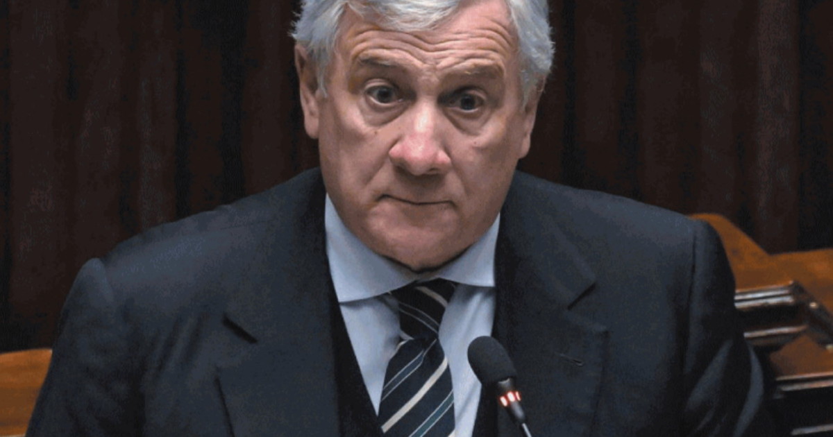 Consejo de Paz, el aficionado abandonado en el caos